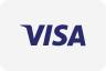 Visa logo op een witte achtergrond